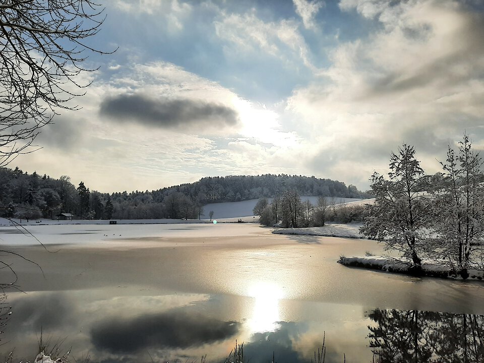 Bayerischer Wald